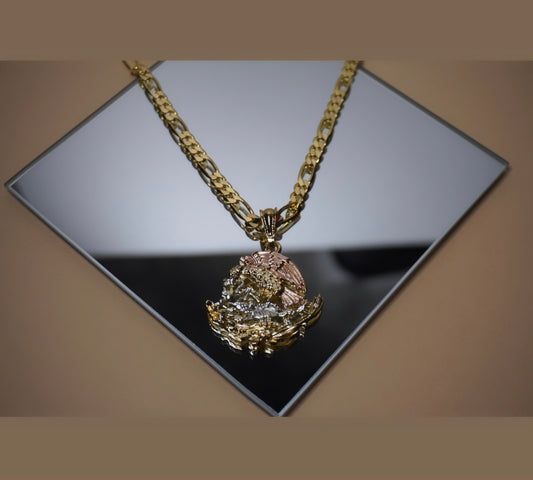 Γguila Real π΅ππ¦
β¨